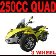 250CC EEC ATV QUAD(MC-389)